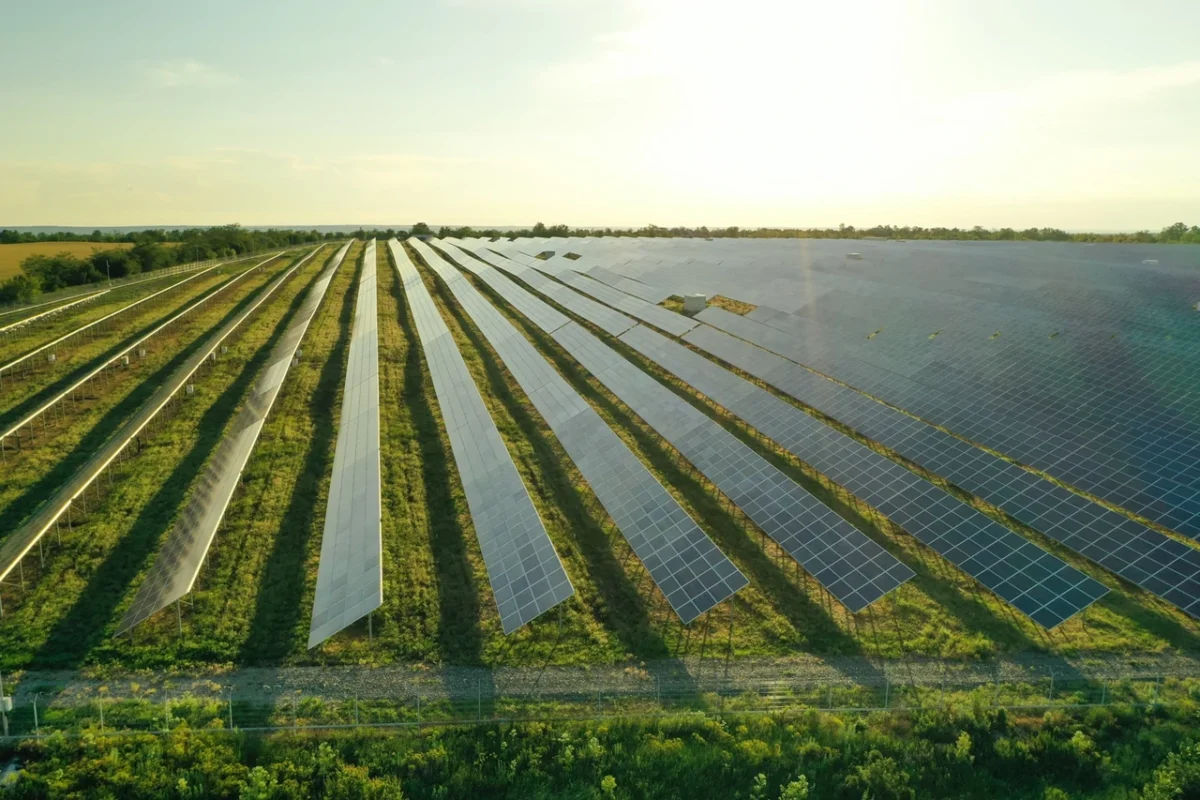 Aerial view of a large-scale ground-mounted solar farm at sunset, showcasing the commercial deployment of renewable energy on repurposed agricultural land.
