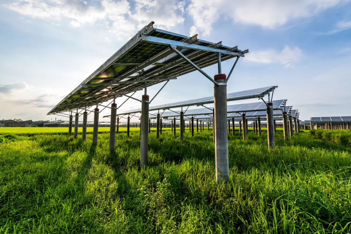 Naziemna elektrownia słoneczna 100kW przygotowuje się do montażu w firmie.
