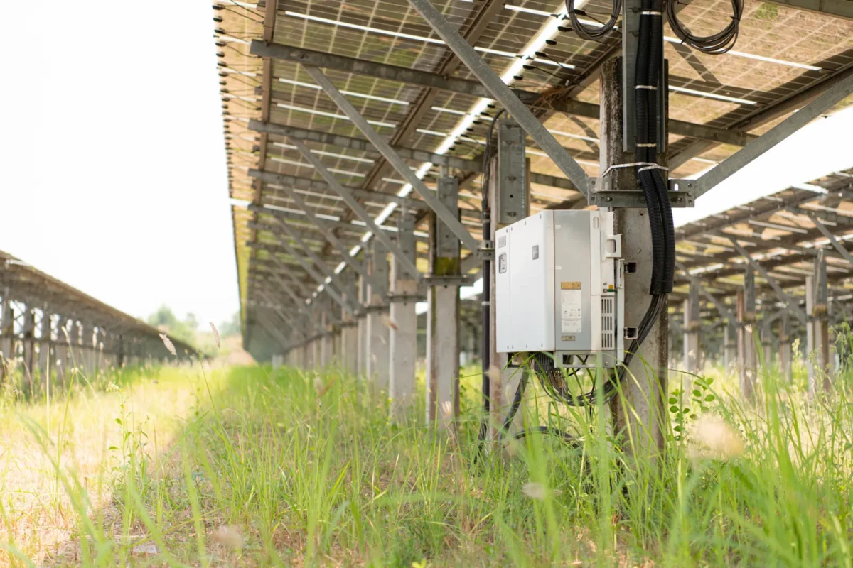 Falownik zamontowany pod konstrukcją naziemnej farmy słonecznej, przekształca energię z paneli do parametrów dopasowanych do sieci energetycznej.